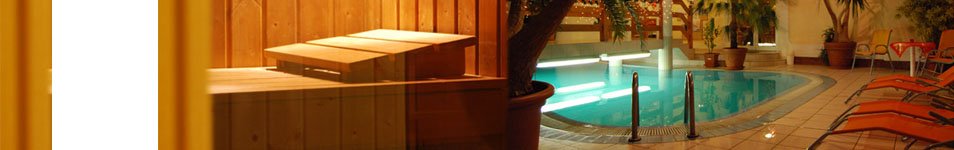 wellness fejléc